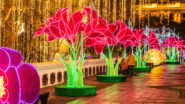 Primeras imágenes del alumbrado navideño de Cali 2025: así será el recorrido