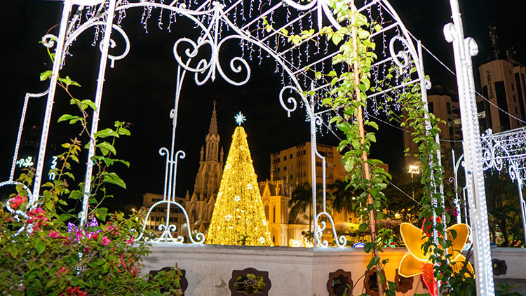 Primeras imágenes del alumbrado navideño de Cali 2025: así será el recorrido