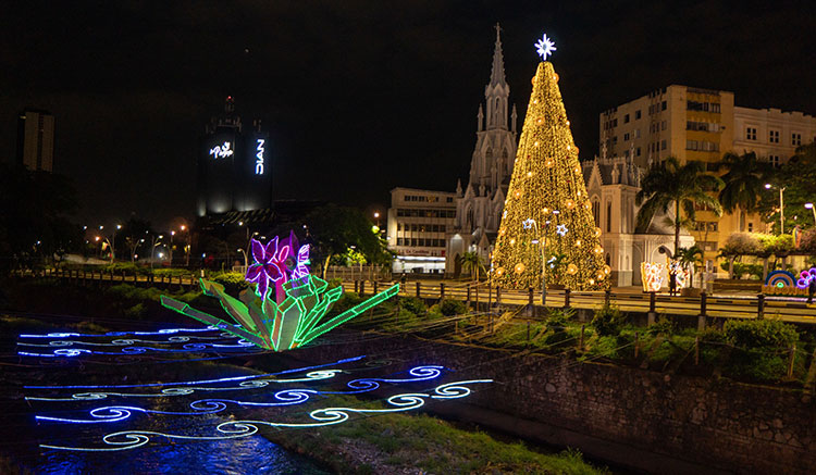 Primeras imágenes del alumbrado navideño de Cali 2025: así será el recorrido