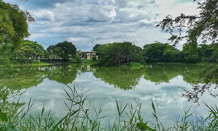 Lago Chilicote en Tuluá se transformará en ecoparque