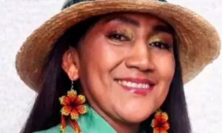 Denuncian desaparición de Ana Guetio, candidata a la Cámara Especial de Paz, en el Cauca