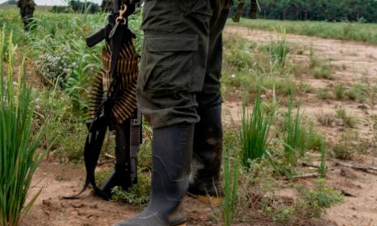 Grupos armados ilegales crecieron más de 23% en un año