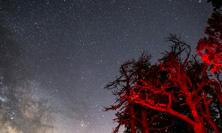 La búsqueda de vida más allá de la Tierra