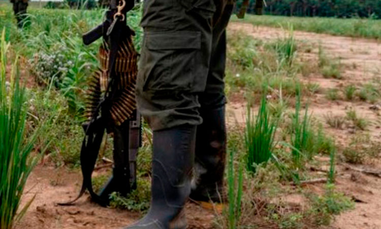 Los criminales crecen y el gobierno guarda silencio