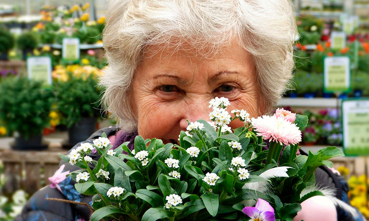 Como envejecer saludablemente