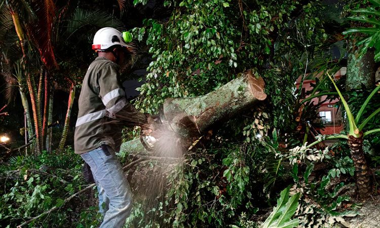 Lluvias en Cali superaron estándares internacionales y dejaron múltiples afectaciones