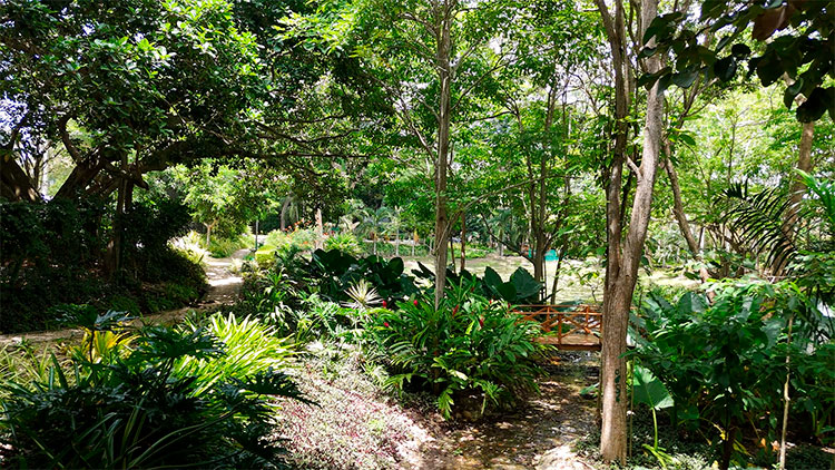 Guacarí: un parque comercial donde la sostenibilidad se mide, se vive y se comparte