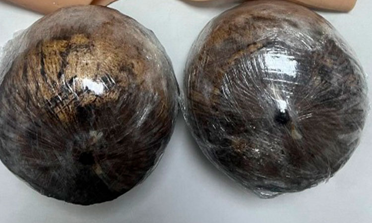 Incautan base de coca en prótesis simulada