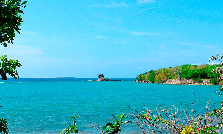 Llamado a ecoturismo responsable en Cartagena