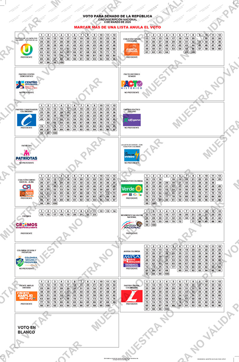 Qué se elige este 8 de marzo y cómo votar sin anular el voto