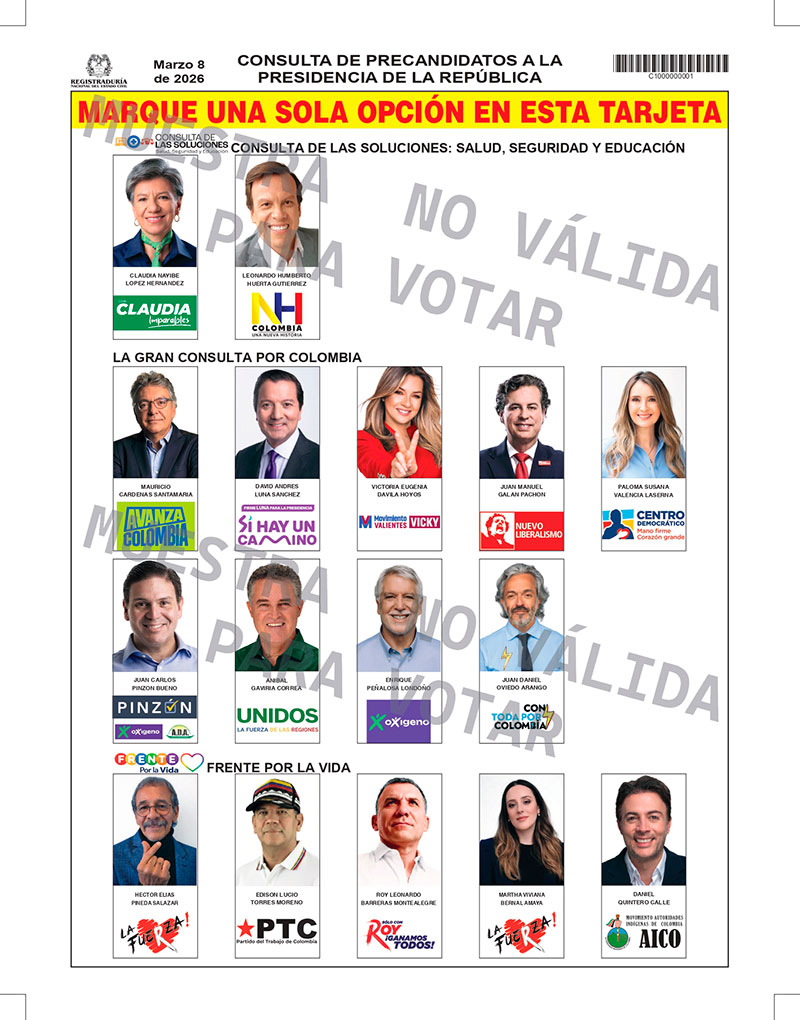 Qué se elige este 8 de marzo y cómo votar sin anular el voto