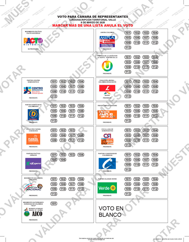 Qué se elige este 8 de marzo y cómo votar sin anular el voto