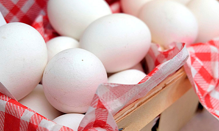 Colombia cerró 2025 con una producción superior a 19.400 millones de huevos