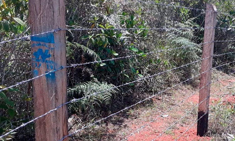 Apoyo a cuencas hidrográficas