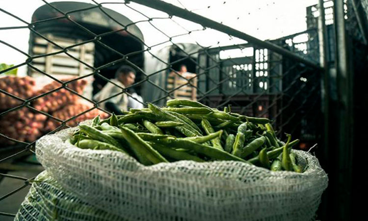 En riesgo abastecimiento en el suroccidente