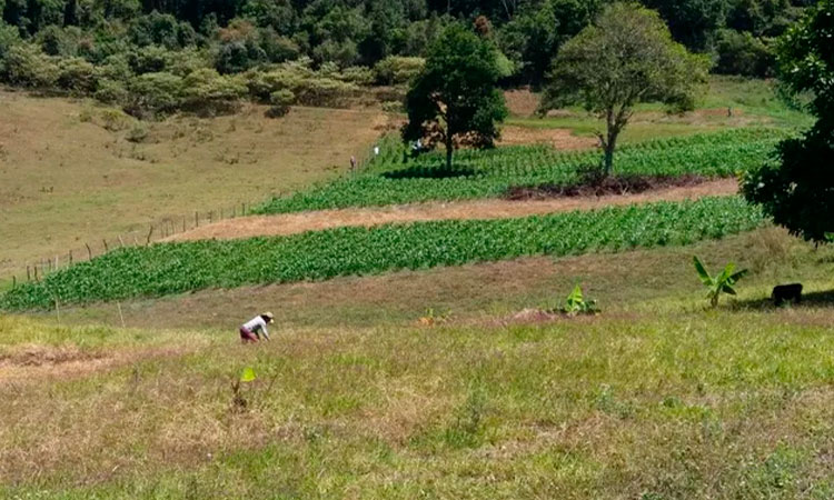 Valle revisará avalúos en 25 municipios