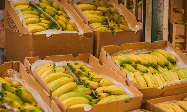 Exportaciones agropecuarias crecieron 11,6% en valor y 63,2% en volumen