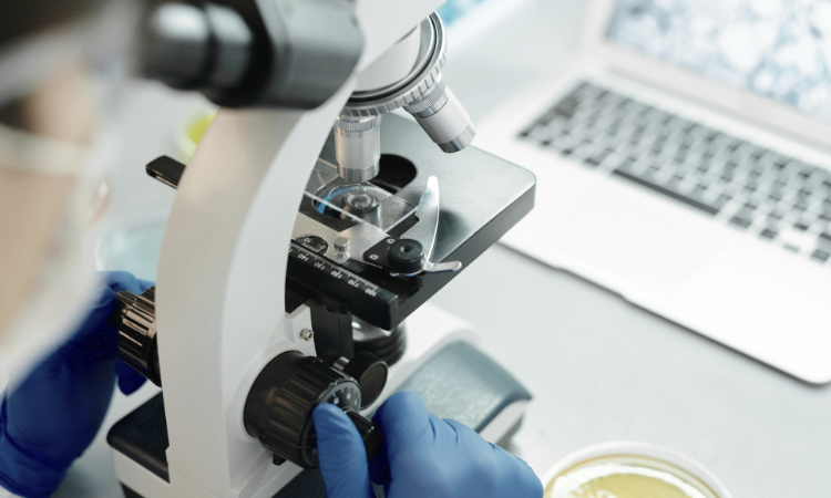 Avances en investigación preclínica en cáncer de pulmón