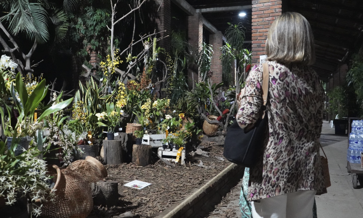 Historia, patrimonio y ciudad: 490 años de Cali
