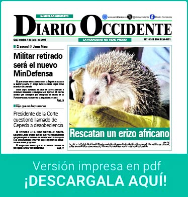 version impresa